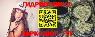 прущие крисы Лесосибирск